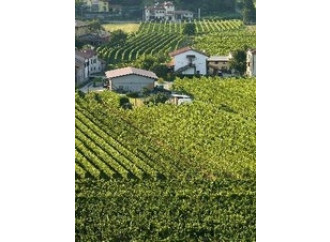 Il Papa rilancia le aziende agricole familiari